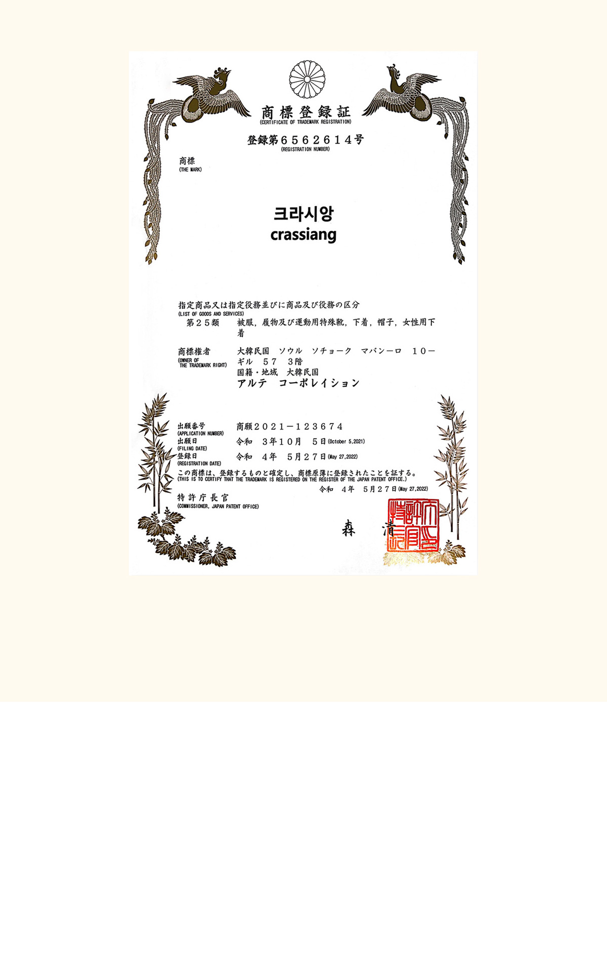 6cm왕뽕💕자체제작 마이레이디 물뽕브라 레이스버전 볼륨브라 상세 이미지 11
